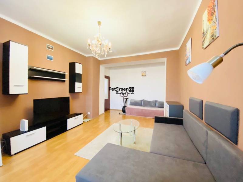 Wohnzimmer in einer 2-Zimmer-Wohnung mit Holzboden und bequemer Couch.