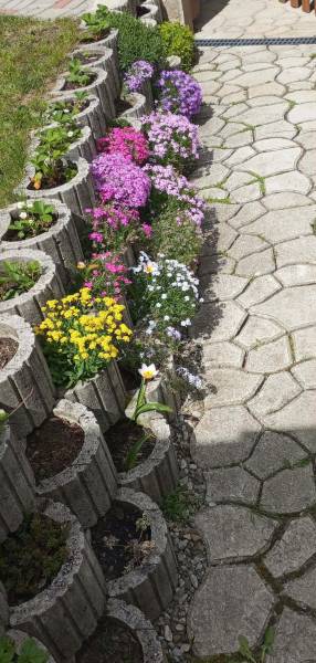 Bunte Blumen in Betontöpfen am Gehweg im Einfamilienhaus in Vršatské Podhradie.