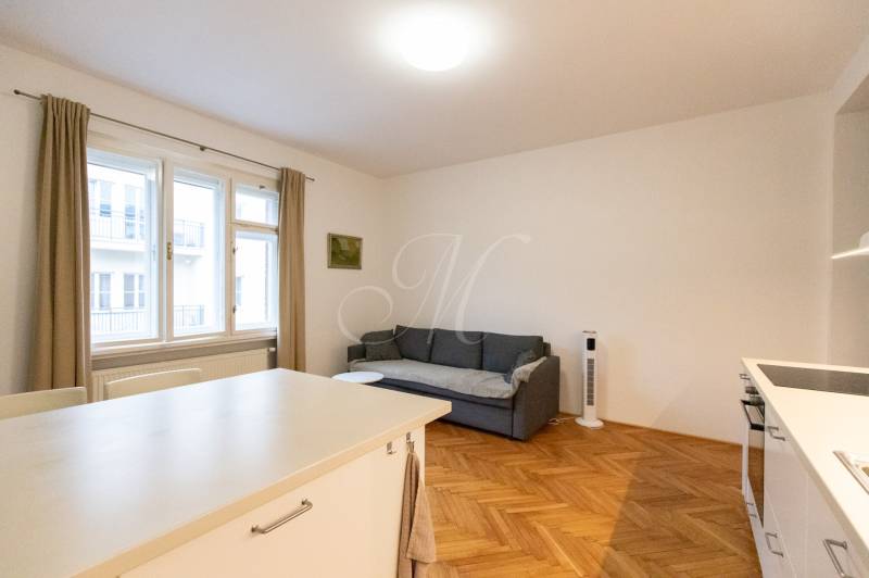 Wohnzimmer in einer 2-Zimmer-Wohnung mit einem Sofa und einem Boden in Holzoptik.