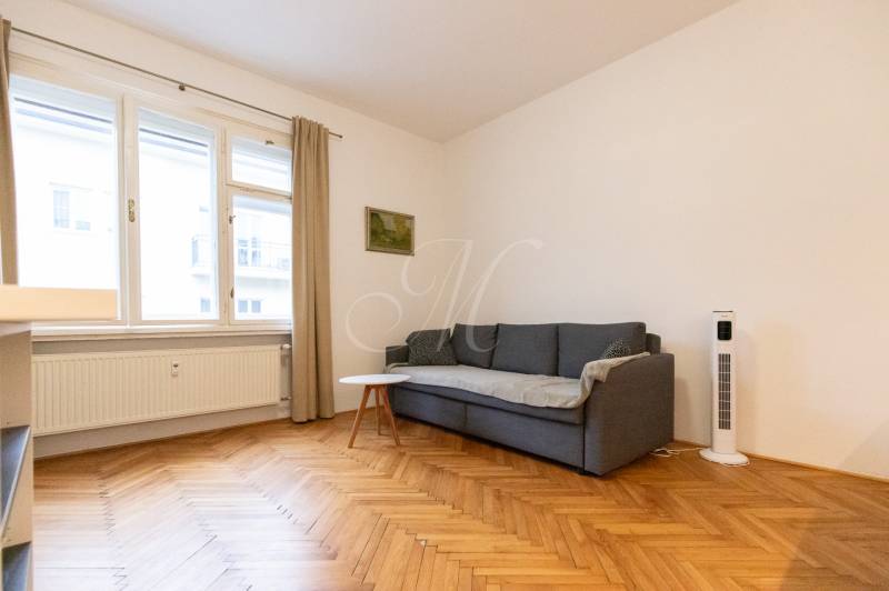 Wohnzimmer in einer 2-Zimmer-Wohnung mit Sofa und Holzboden.