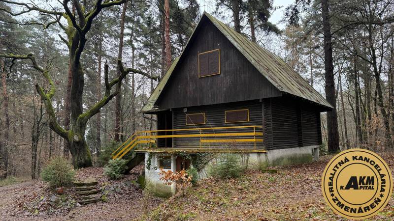 Eine Hütte in Kováčová, umgeben von Wald, mit einem großen Baum im Vordergrund.