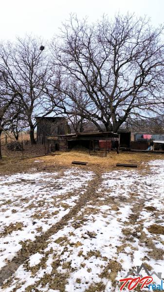 Verschneite Wohnbaugrundstücke mit Bäumen in der Mierova-Straße in Krásnohorské Podhradie.