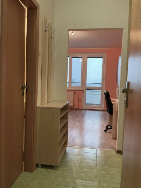 Ein Studio-Apartment mit Holzboden und Möbeln, mit Blick aus dem Fenster.