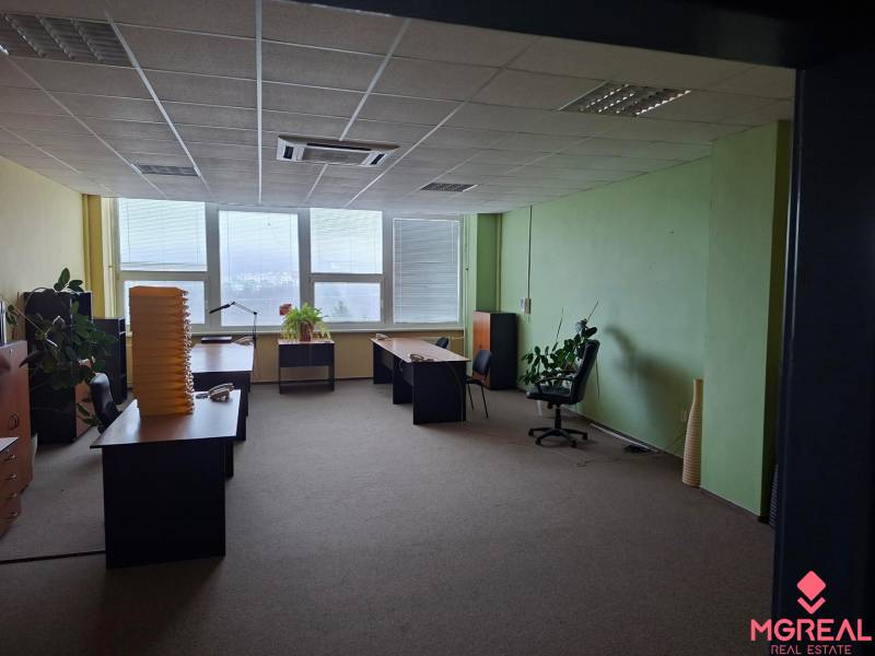 Büros mit Tischen, Stühlen und Pflanzen auf einem Boden mit Holzdekor.