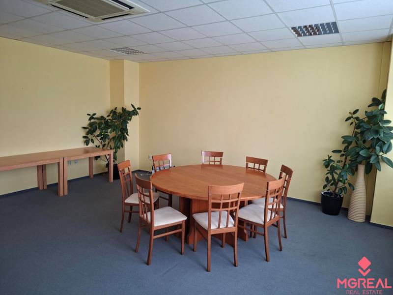 Büro mit rundem Tisch, sechs Stühlen, blauem Teppich und Pflanzen.