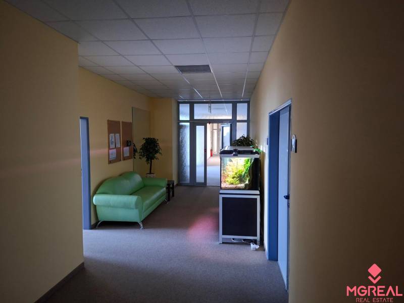 Büros mit Aquarium, grünem Sofa und Pflanze.