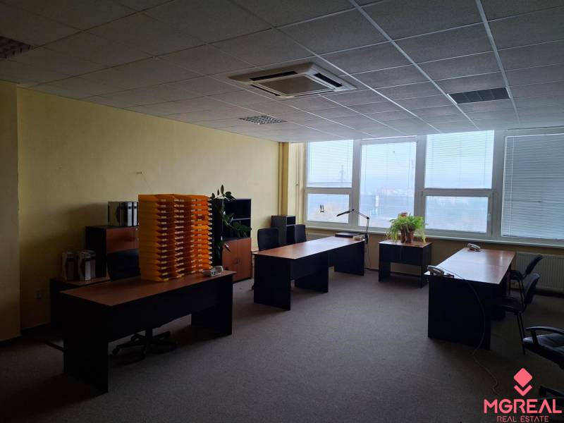 Ein Bürointerieur mit drei Schreibtischen, Pflanzen und einem Ausblick durch große Fenster.