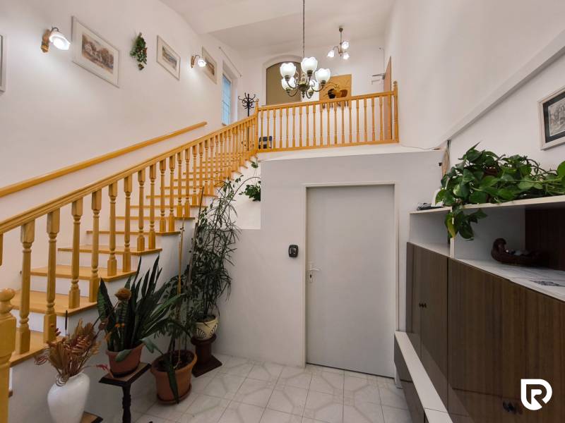 Im Inneren des Einfamilienhauses befindet sich eine Holztreppe, Pflanzen und Leuchten.