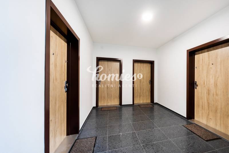 Ein Flur mit drei Eingangstüren und einem dunklen Boden mit dekorativen Elementen.