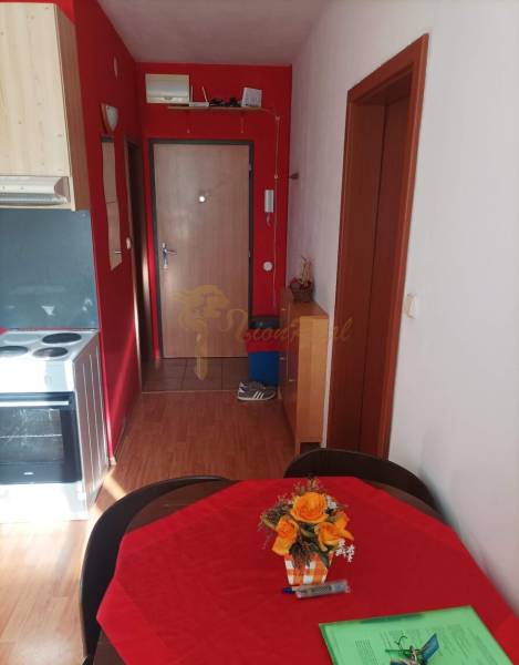 1-Zimmer-Wohnung mit markanten roten Wänden und einem Boden in Holzoptik.