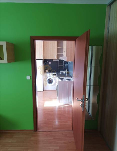 Eine Einzimmerwohnung mit klaren grünen Wänden und einem Boden in Holzoptik.