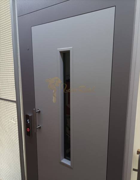 Graue Tür mit Glasfenster und Aufzugknopf, Foto in einem Einzimmerapartment.