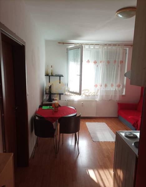 Wohnbereich einer Einzimmerwohnung mit Holzboden, Tisch und Stühlen.