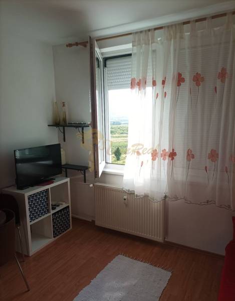 Zimmer in einer Einzimmerwohnung, Holzboden, Fernseher, offenes Fenster mit Aussicht.