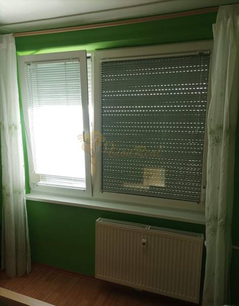Grüne Wand mit Fenstern, Jalousien, Vorhängen und Heizkörper in einem Einzimmerapartment mit Holzboden.