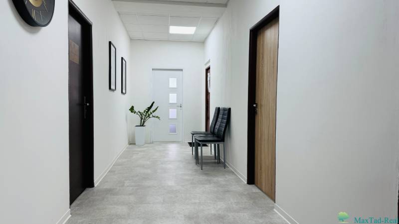 Flur im Büro mit weißen Wänden, einer Pflanze, Stühlen und Türen mit Holzdekor.