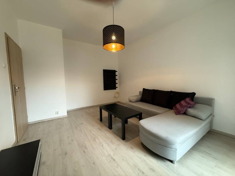 Wohnzimmer mit Holzboden, ausziehbarem Sofa und minimalistischen Möbeln in einer Einzimmerwohnung.