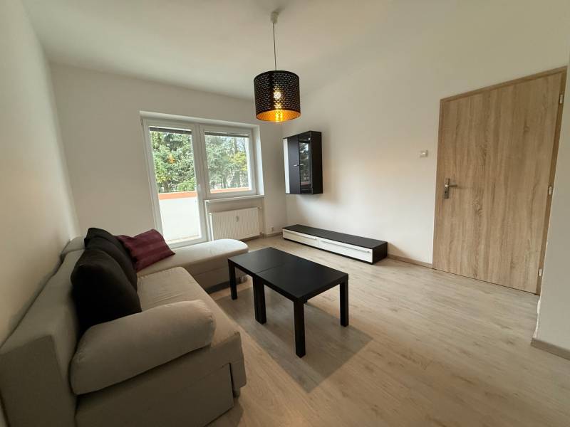 Wohnzimmer eingerichtet mit Sofa und Tisch, Boden mit Holzdekor.