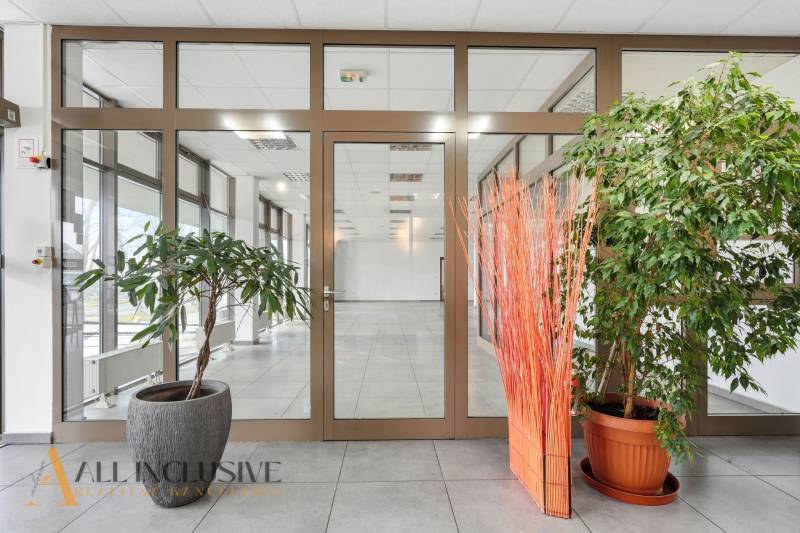 Gewerbeflächen mit Glastüren, Pflanzen und dekorativen Elementen auf dem Boden.