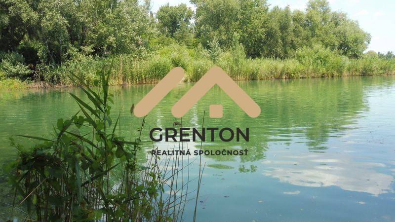 Der grüne See umgeben von Vegetation in Bratislava - Ružinov an der Studená bei der Hütte.