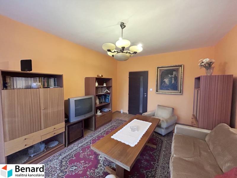 Wohnzimmer mit Retro-Möbeln in einer 2-Zimmer-Wohnung, Boden mit Holzdekor, Teppiche.