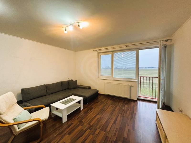 Wohnzimmer in einer 2-Zimmer-Wohnung mit Holzboden und Sofa.