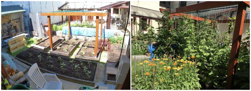 Ein Einfamilienhaus in der Laborecká Straße in Spišská Nová Ves mit einem gepflegten Garten und Blumen.