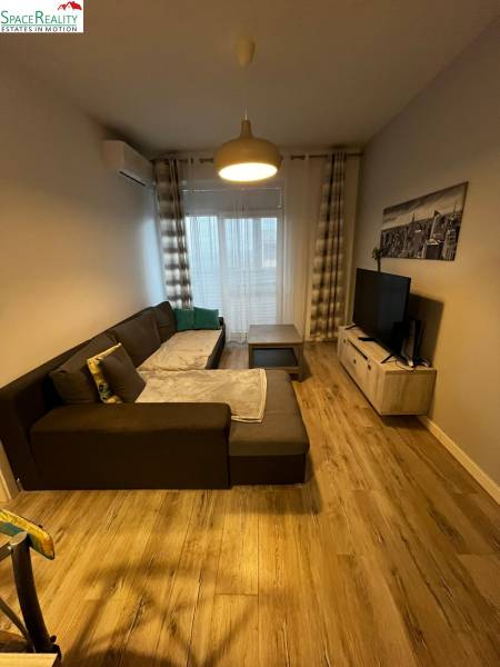 Wohnzimmer in einer 2-Zimmer-Wohnung mit einem bequemen Sofa und einem Boden in Holzoptik.