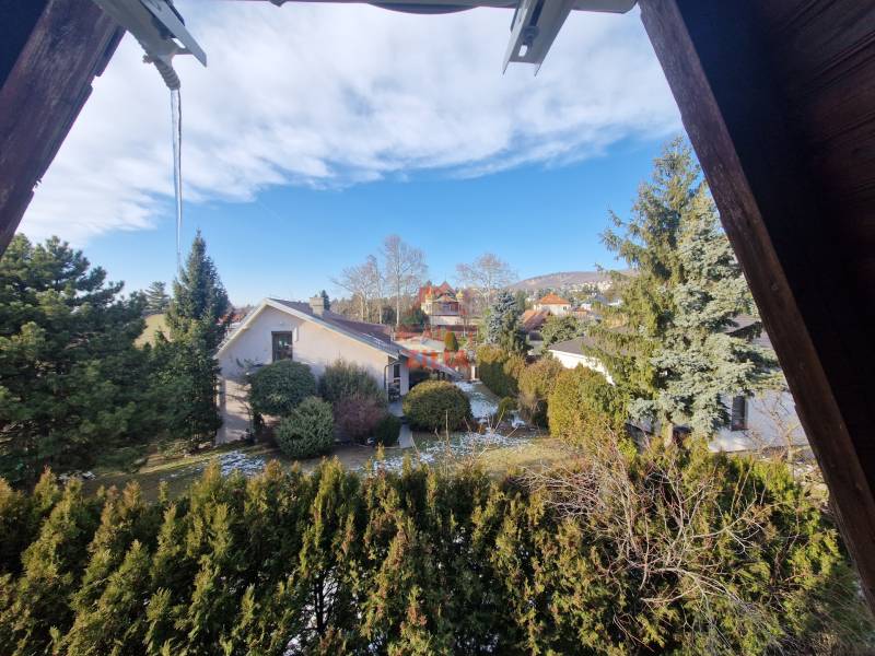 Der Garten des Einfamilienhauses mit Blick auf die Jelenecká-Straße in Nitra, umgeben von Grün.