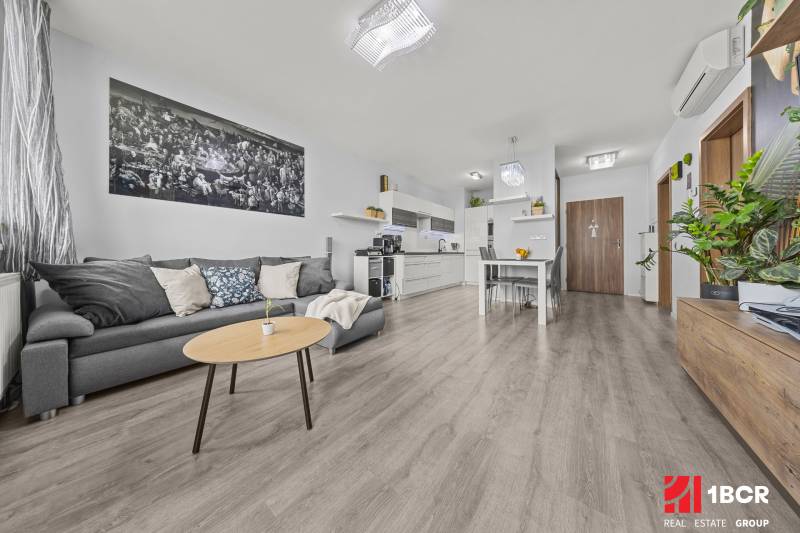 Wohnzimmer in einer Zweizimmerwohnung mit Holzboden, grauem Sofa und Pflanzen.