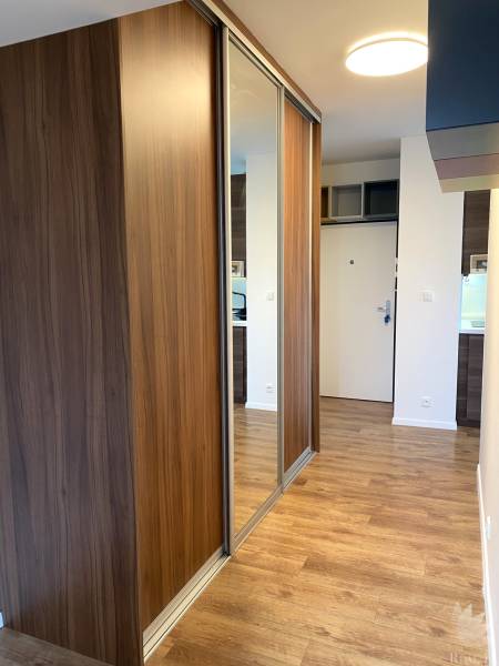 Eingangsbereich einer 3-Zimmer-Wohnung mit Holzboden und einem Spiegelschrank.