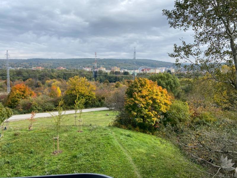 Herbstlandschaft in Bratislava - Dúbravka auf der Nejedlého, mit bunten Bäumen und einem Himmel voller Wolken.