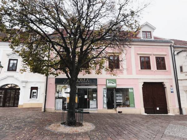 Geschäftsräume in der Hauptstraße in Eisenstadt mit Holzdekor, Baum und historischen Gebäuden.