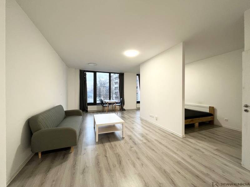 Einzimmerwohnung mit Holzboden, Sofa und Essecke.