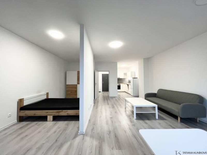 Innenraum einer Einzimmerwohnung mit Holzboden, Bett und Sofa.