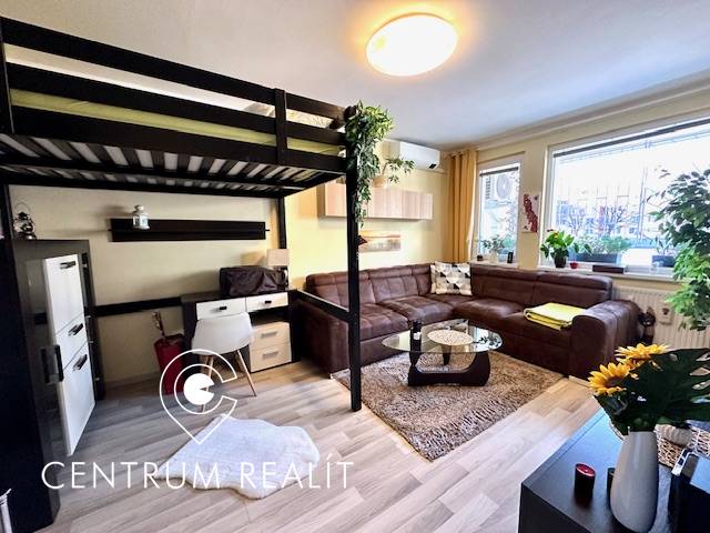 Wohnzimmer mit Etagenbett, Sofa und Holzboden in einer Einzimmerwohnung.