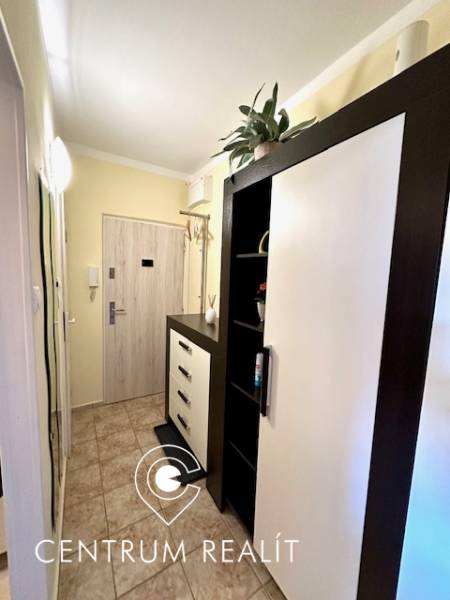 Ein gemütlicher Flur mit Möbeln und gemusterten Fliesen in einer Einzimmerwohnung.