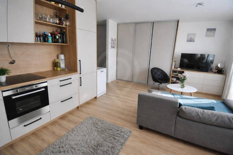 Innenraum einer 1-Zimmer-Wohnung mit grauem Sofa, Küchenzeile und Boden in Holzoptik.