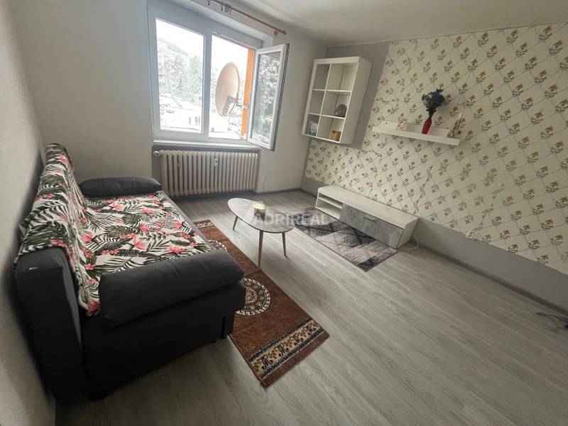Wohnzimmer mit Sofa, Teppich und Regalen in einer Einzimmerwohnung.