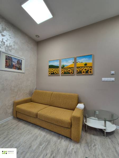 Wohnzimmer einer Einzimmerwohnung, mit Sofa und Bildern, auf einem Boden mit Holzdekor.