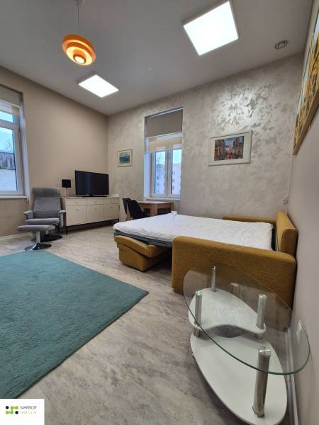 Wohnbereich einer Einzimmerwohnung mit Bett, Fernseher und Sessel auf einem Boden mit Holzdekor.