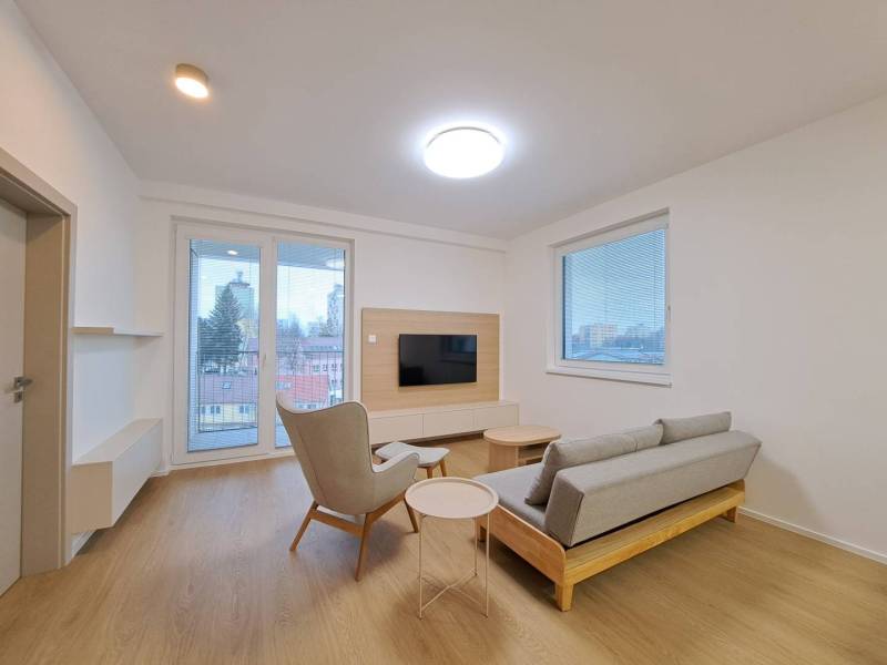 Wohnzimmer in einer 2-Zimmer-Wohnung mit Holzboden, Fernseher und Ausblick.