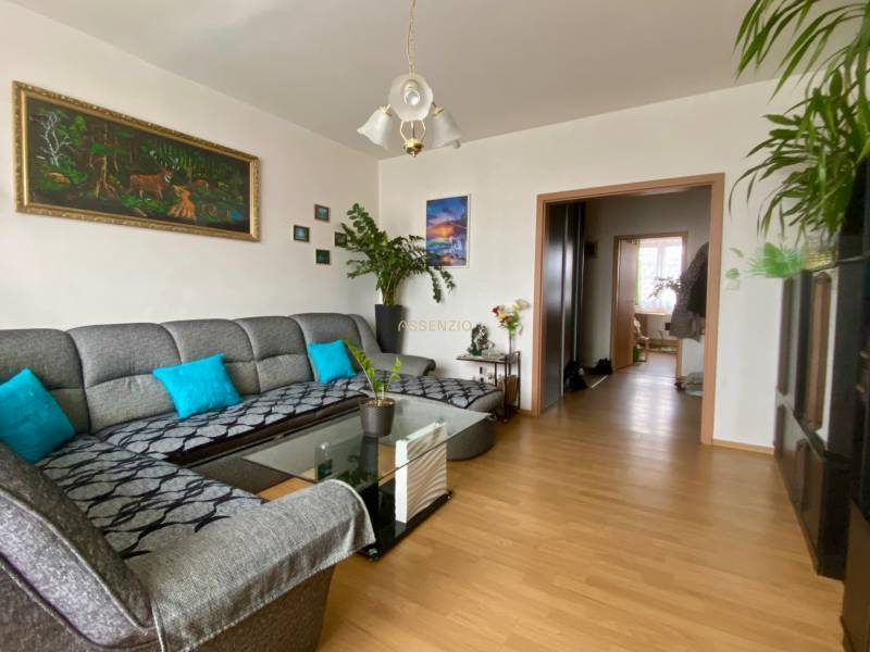 Wohnzimmer in einer 3-Zimmer-Wohnung mit Sofa, Holzboden und Dekorationen.