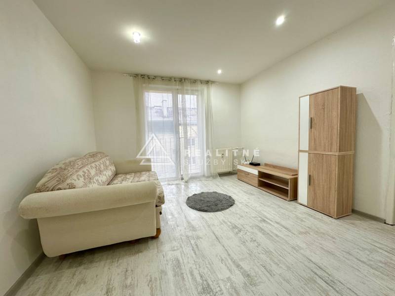 Wohnzimmer in einer 2-Zimmer-Wohnung mit Sofa, Schrank und Boden in Holzoptik.