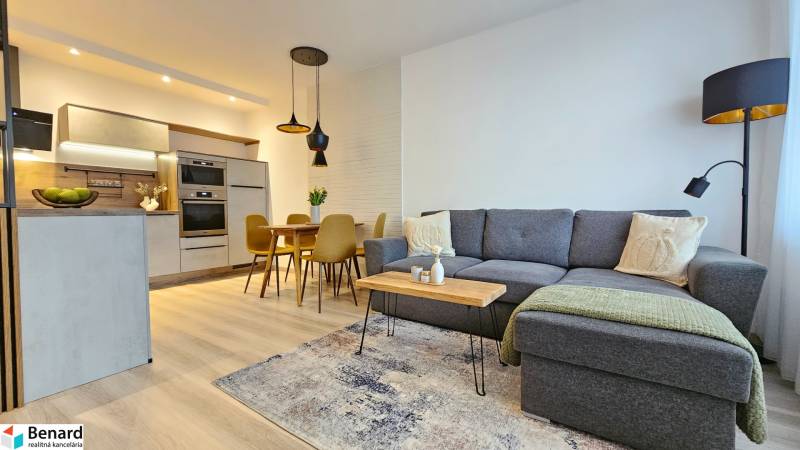 Wohnzimmer mit Küche in einer Einzimmerwohnung. Graues Sofa und Boden mit Holzdekor.