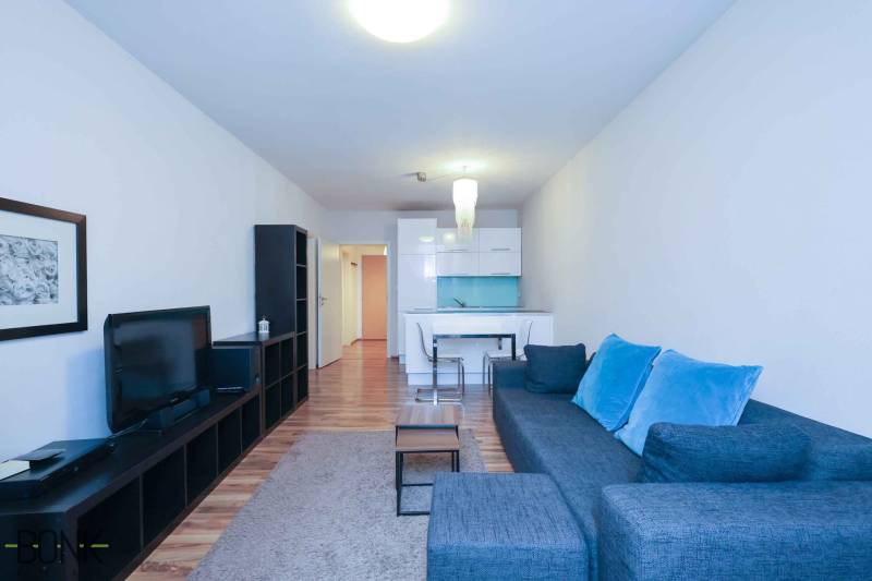 Wohnzimmer mit Sofa und Fernseher in einer 2-Zimmer-Wohnung, Boden mit Holzdekor.