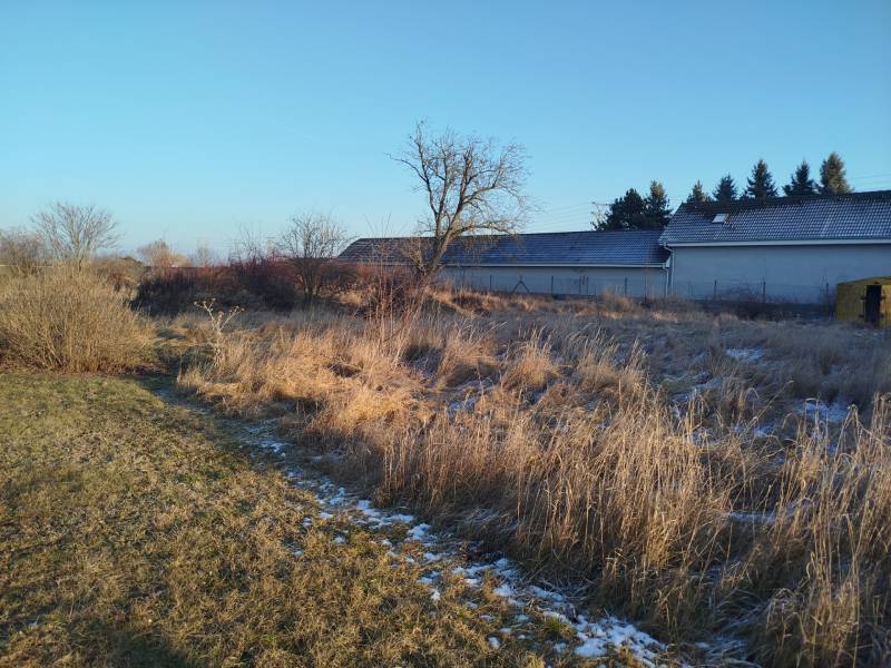 Bauland an der Hodská-Straße in Galanta mit Grasbewuchs und einigen Sträuchern.