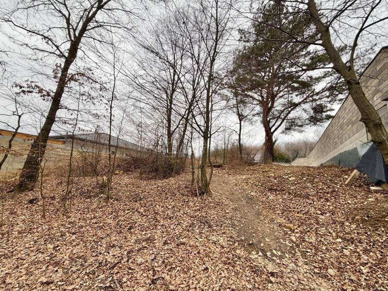 Das Grundstück zum Wohnen in Veľká Bytča ist mit Laub bedeckt und von Bäumen umgeben.