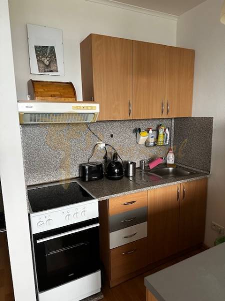 Küche in einer Einzimmerwohnung mit Küchenzeile und Geräten, Boden mit Holzdekor.