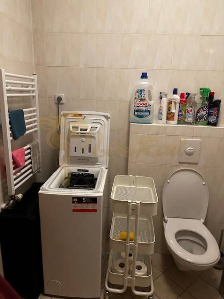 Ein kleines Badezimmer mit Waschmaschine und Toilette in einer Einzimmerwohnung. Reinigungsmittel sind vorhanden.